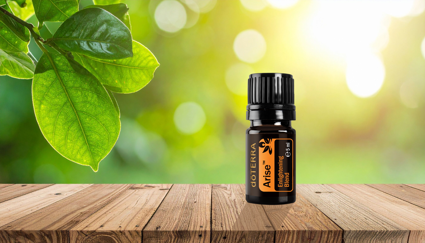 Arise — The Oil of Light & Purpose