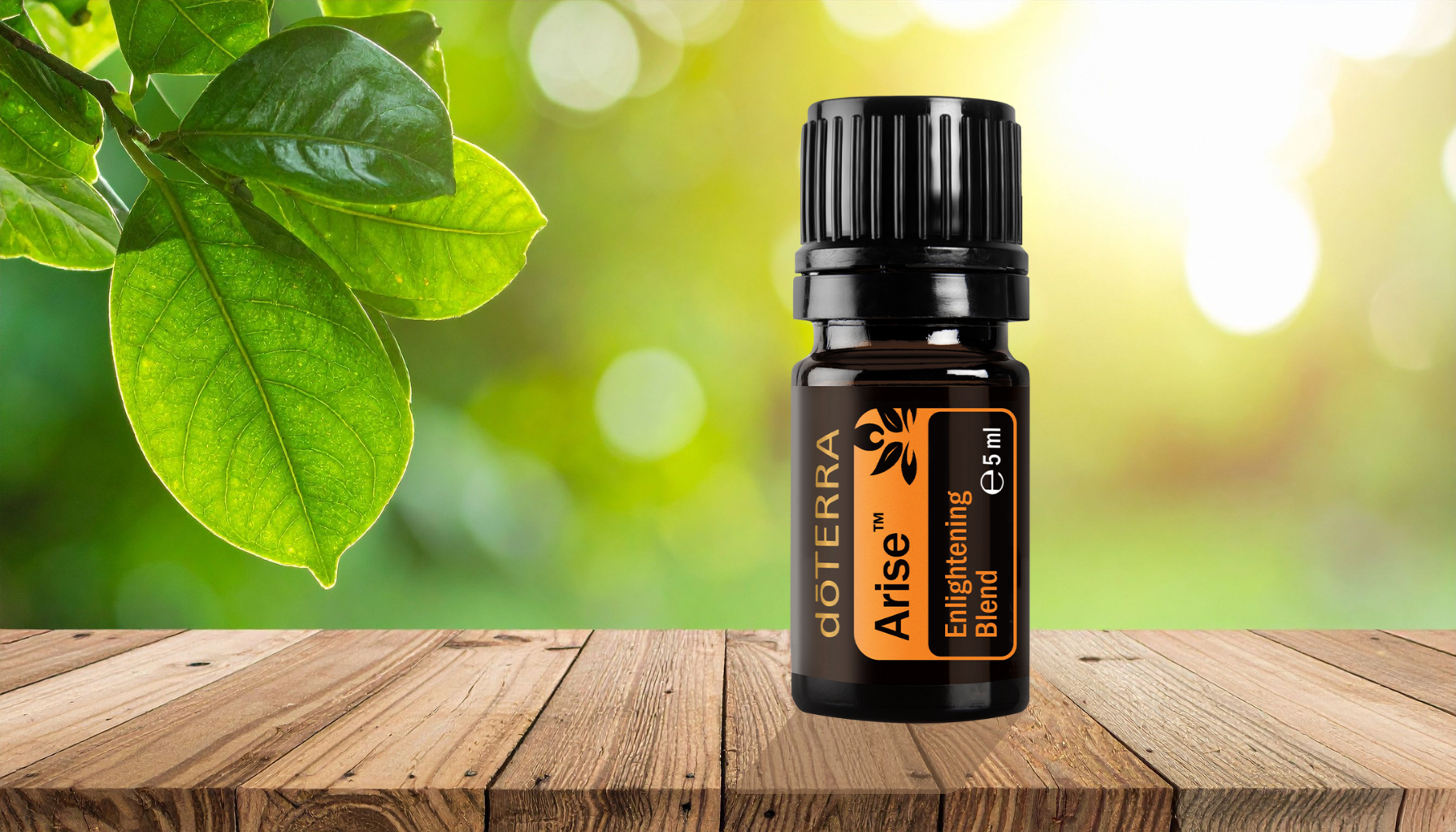 Arise — The Oil of Light & Purpose